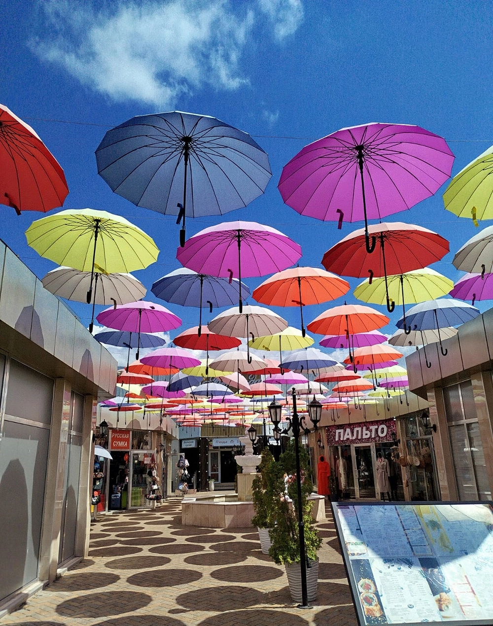 «У нас было всего несколько дней, но время провели замечательно!»