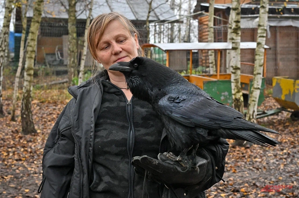 Анна Пономарёва и ворон Карлуша. 