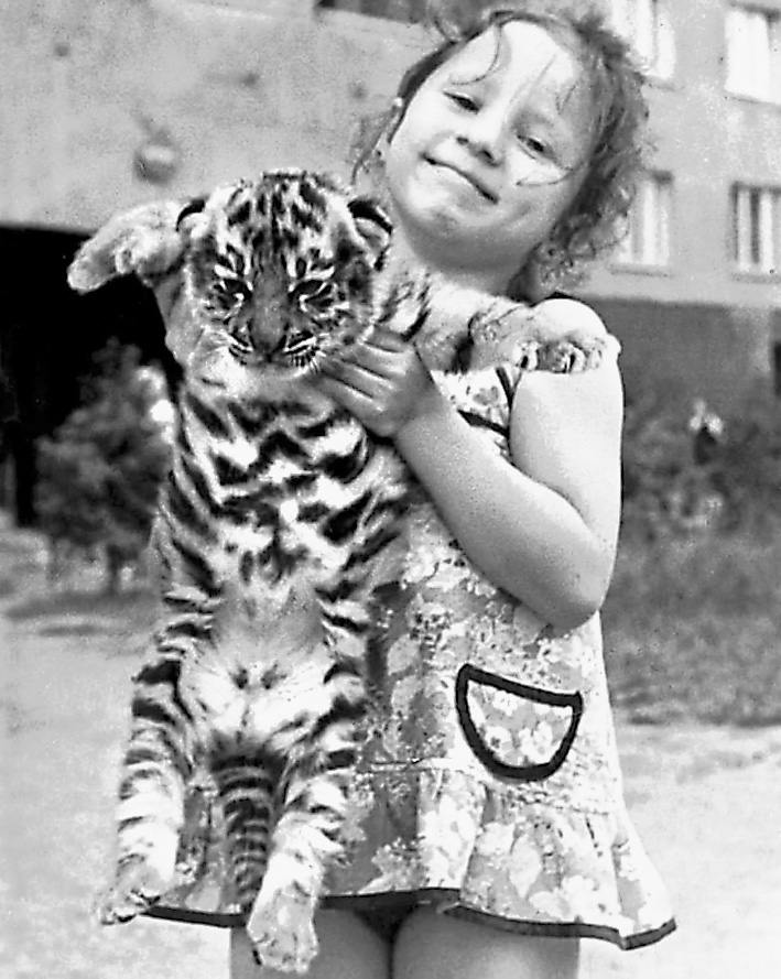 Дети играют с котятами, будущие дрессировщики – с тигрятами. Карина в детстве.