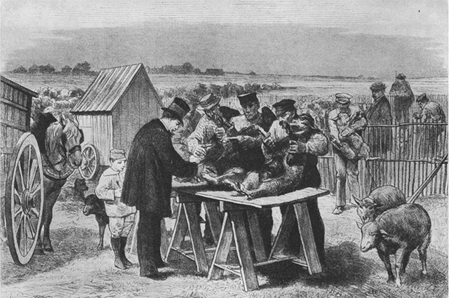 Публичный опыт вакцинации на ферме Пуйи-ле-Фор, 31 мая 1881 года