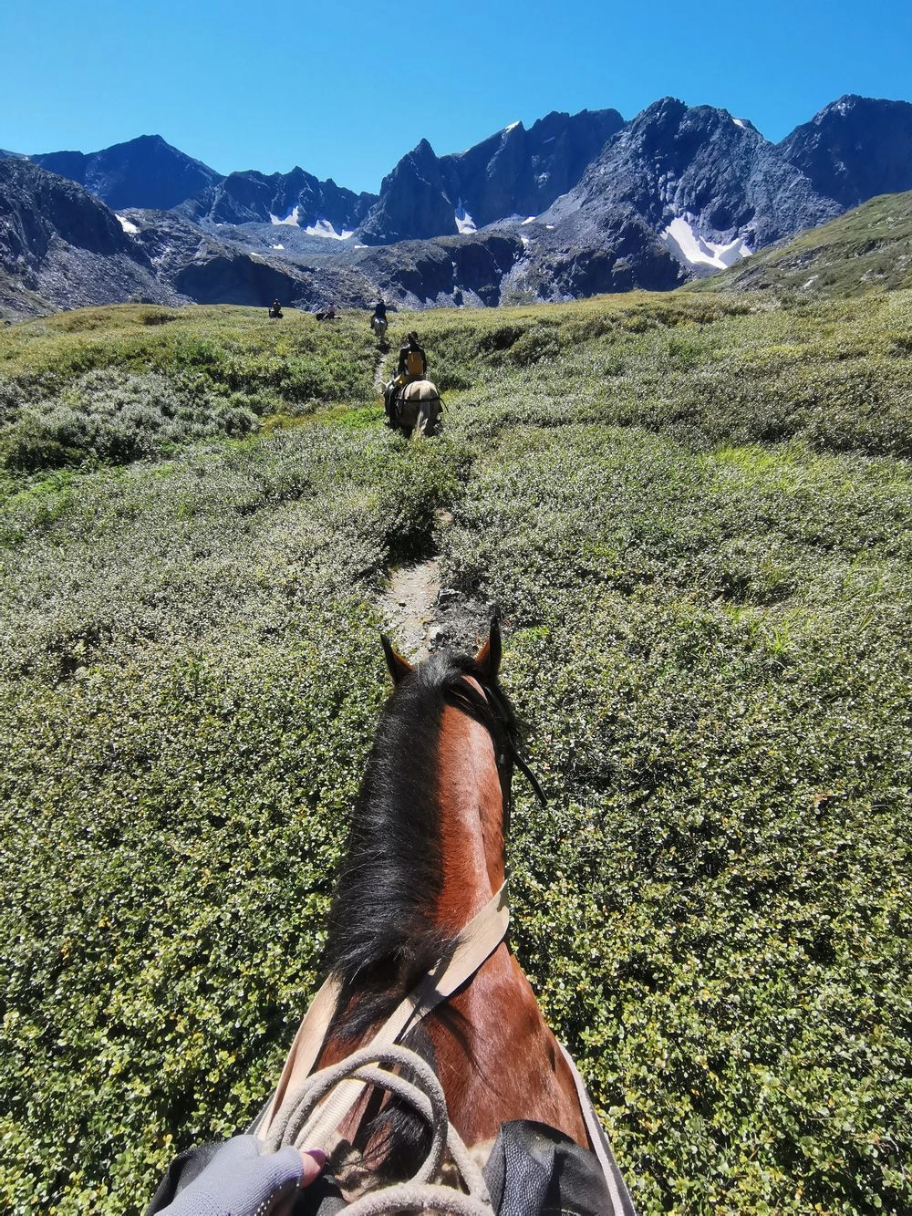 Вот такой вид сверху.