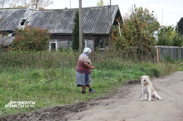 В Назарово кроме хозяев усадьбы трое жителей — доживающие свой век старик и старуха и москвич.