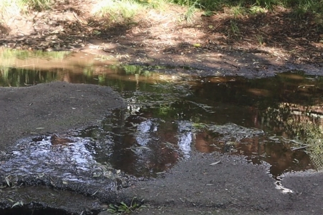Из-за застоявшейся воды во дворе стоит неприятный запах.