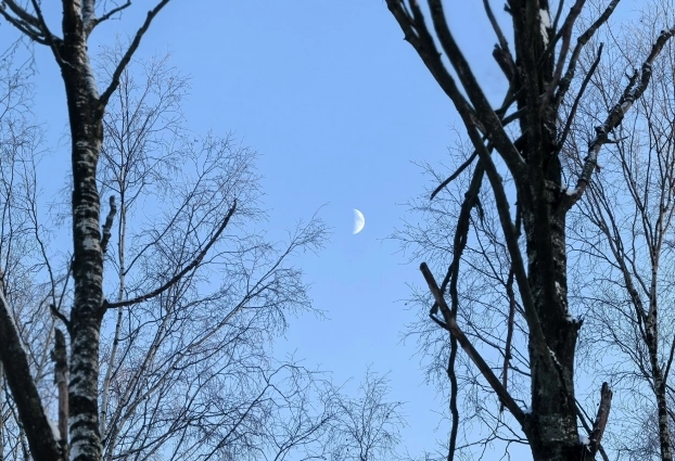 Зато небо расчистилось впервые за долгие дни снегопадов.