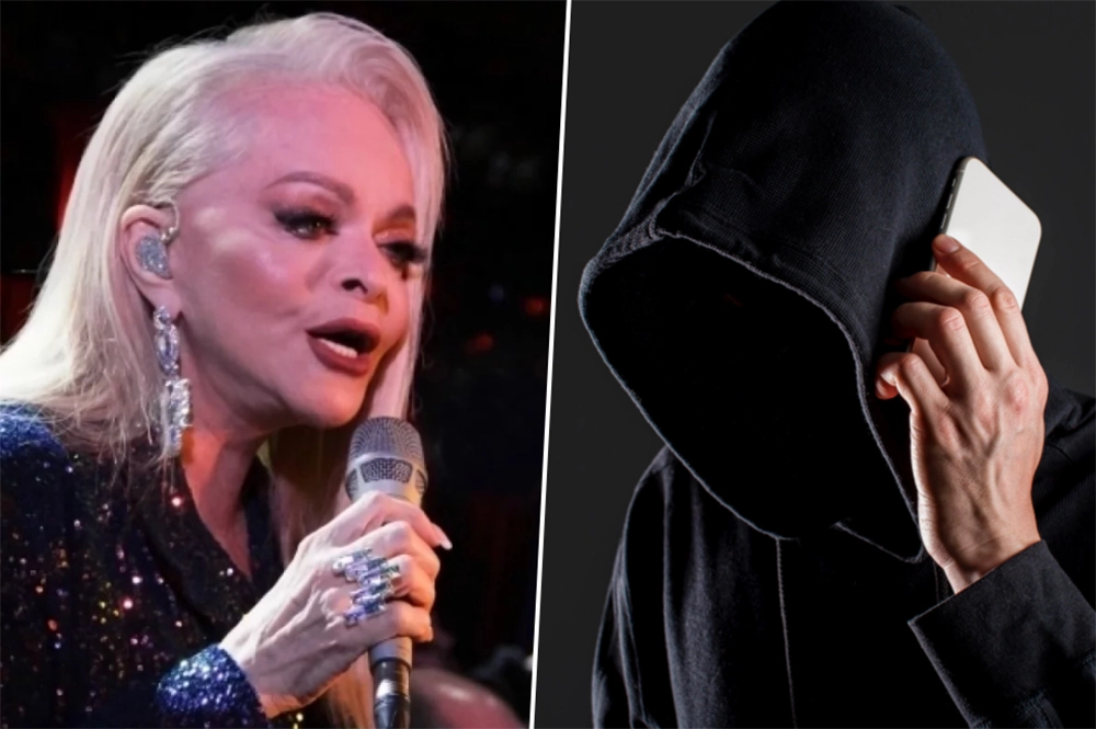 Лариса Долина, Мошенничество,