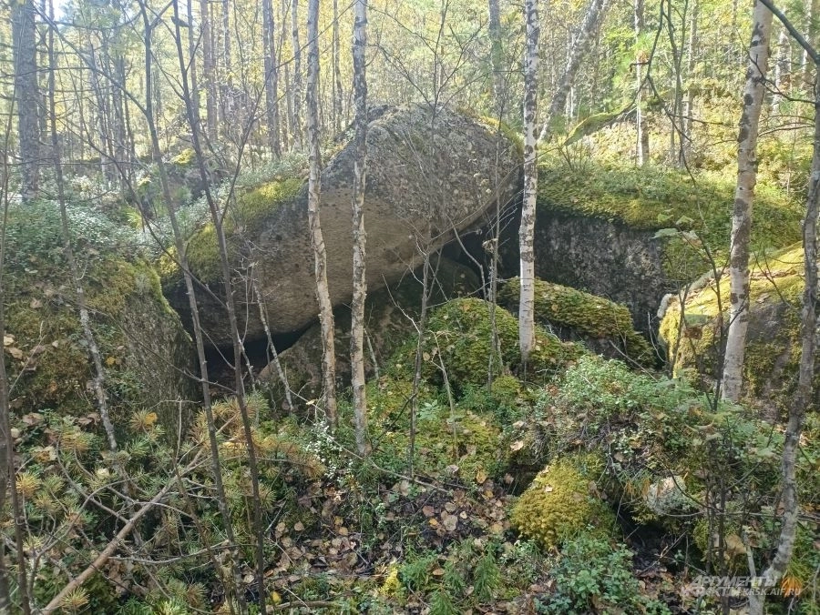 Курумник на Кутурчинском Белогорье.