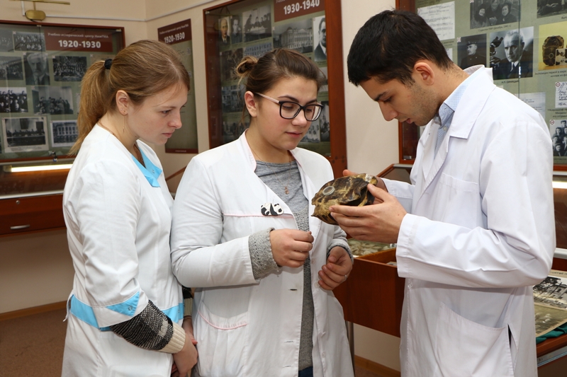Студенты-медики считают, что даже современным хирургам будет непросто пересадить сердце черепахе.