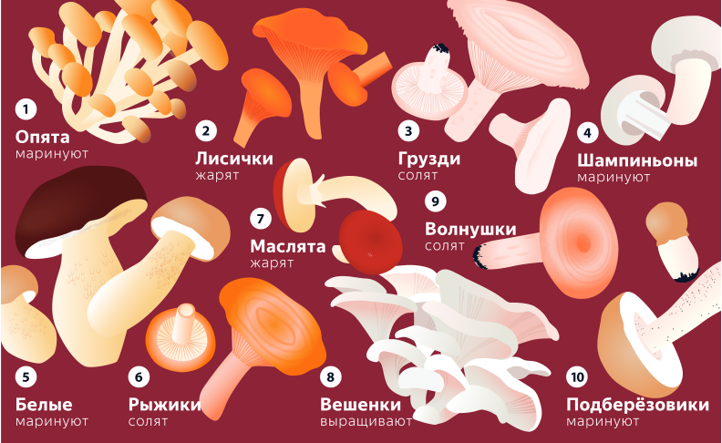 Исследование Яндекса о грибах