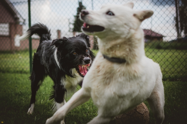 После гибели школьницы люди начали устраивать самосуд.