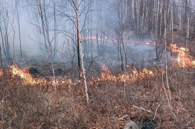 В Забайкалье бушуют лесные пожары.