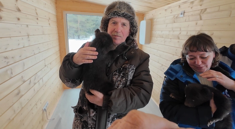 Андрей Сакулин и сотрудница ветслужбы проверили состояние малышей, прежде, чем их забрал Кирилл Потапов.