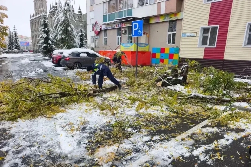 Последствия снегопада в Сургуте.