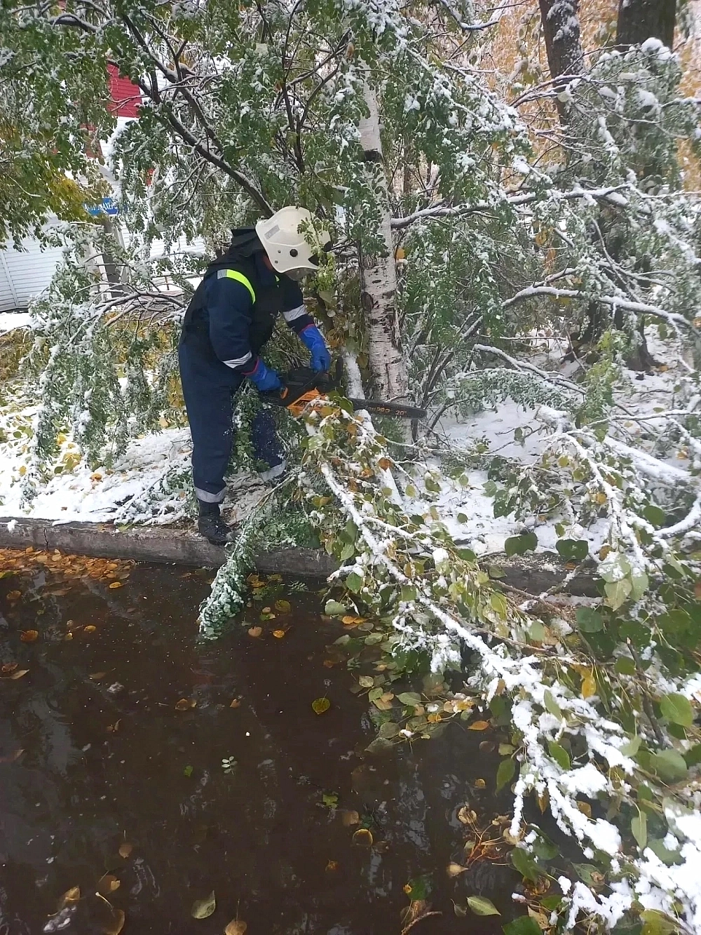 Последствия снегопада.