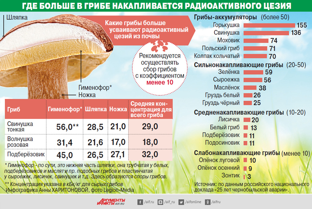 Какая из следующих круговых диаграмм показывает распределение грибов в лесу если белых грибов 21