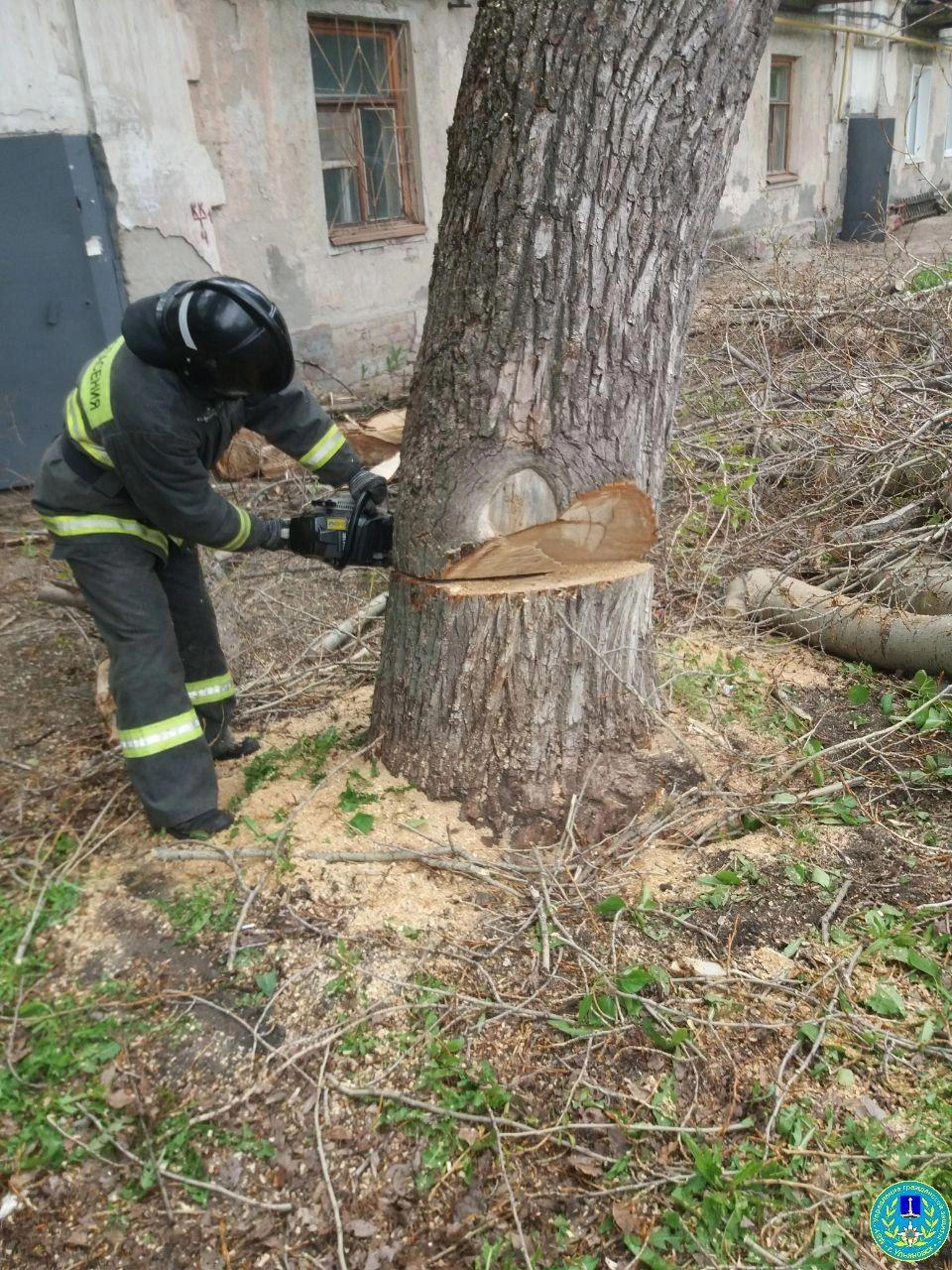 В Ульяновске спасли сталинку, на крышу которой навалился старый тополь |  АиФ Ульяновск