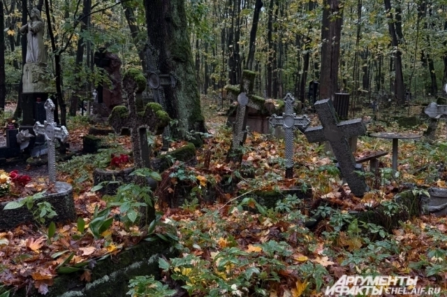 Смоленское кладбище в Санкт-Петербурге