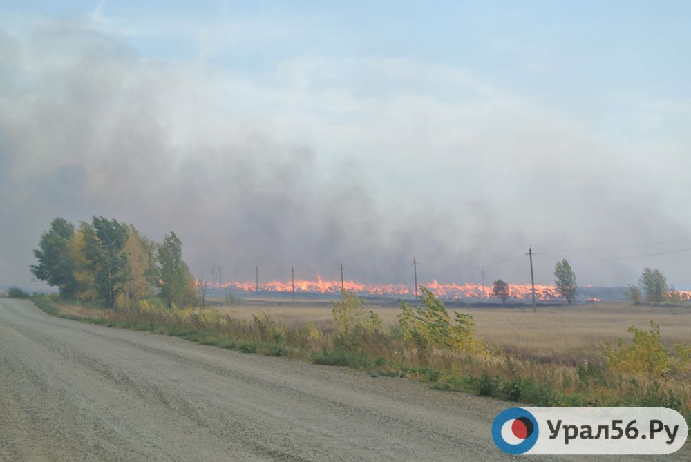 Пожар у села Горьковское в Новоорском районе.