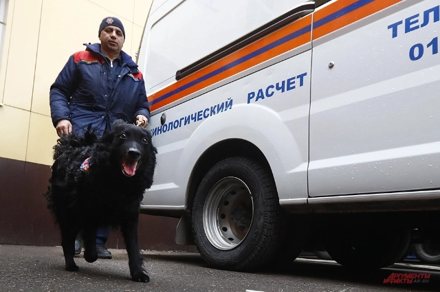 Погибшего ребёнка обнаружил кинолог со служебной собакой.