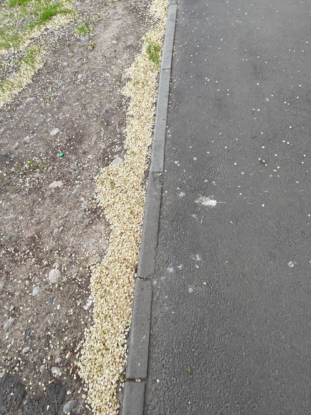 Семена карагача