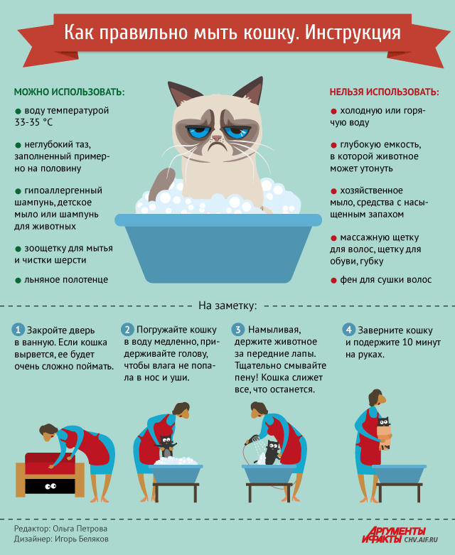 как правильно мыть кота в ванной