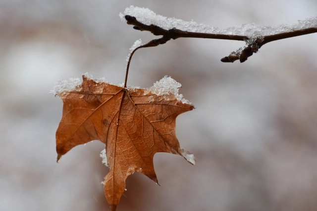 Настоящие аномальные морозы в XXI в. наблюдались в Перми в 2009 г., когда было минус −40 С.