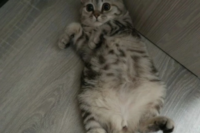 Какие глаза!