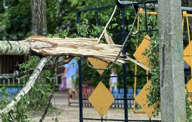 Работы предстоит много...