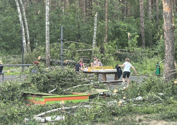 Детям приходится играть среди поваленных деревьев.