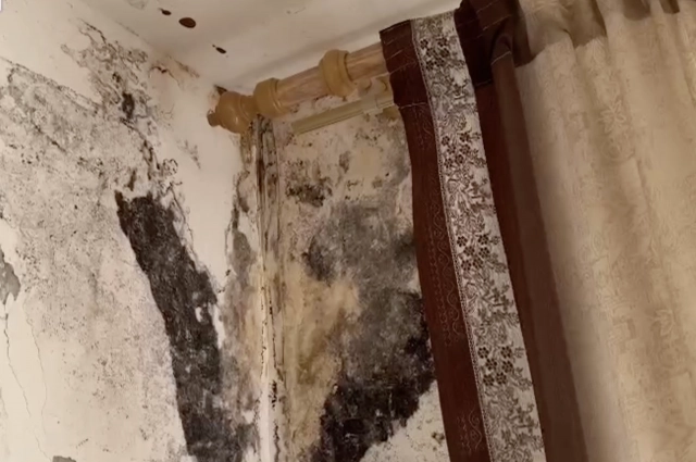 Фекалии и моча животных протекают по стенам к соседям снизу.