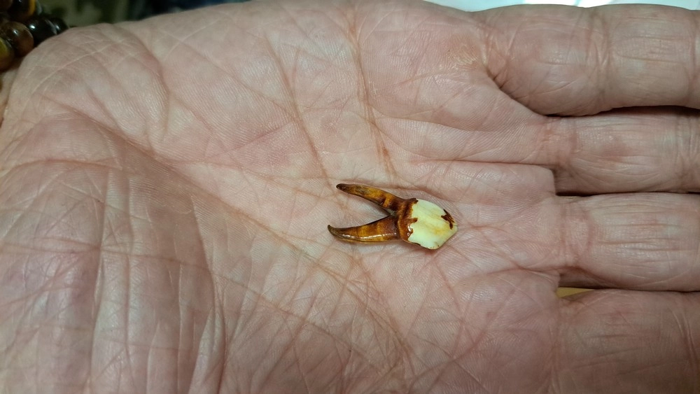 Пожвинский музей