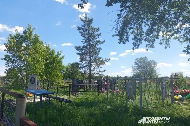 Могила Дарьи под сосной.