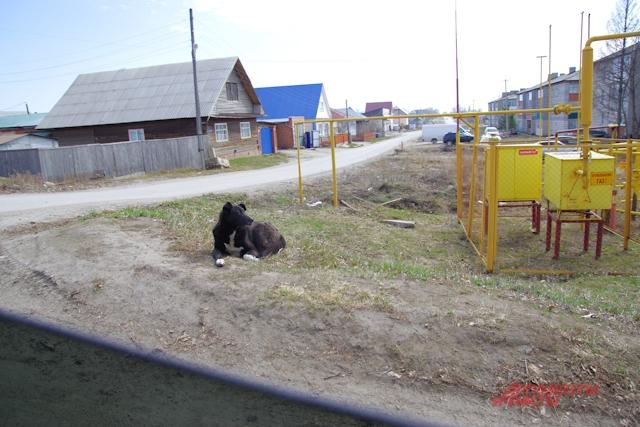 Улицы Колывани.