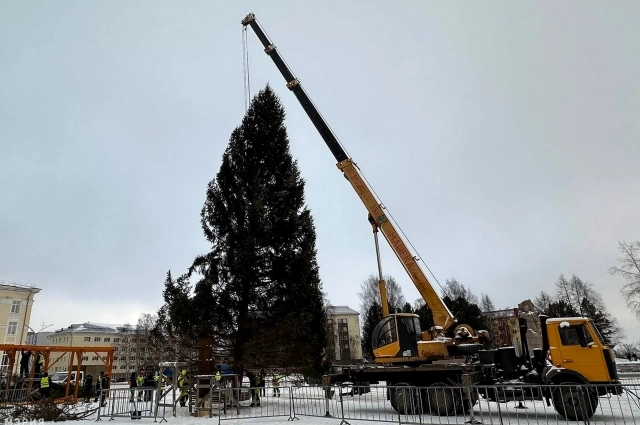 Главная новогодняя ель уже прибыла в Сыктывкар.