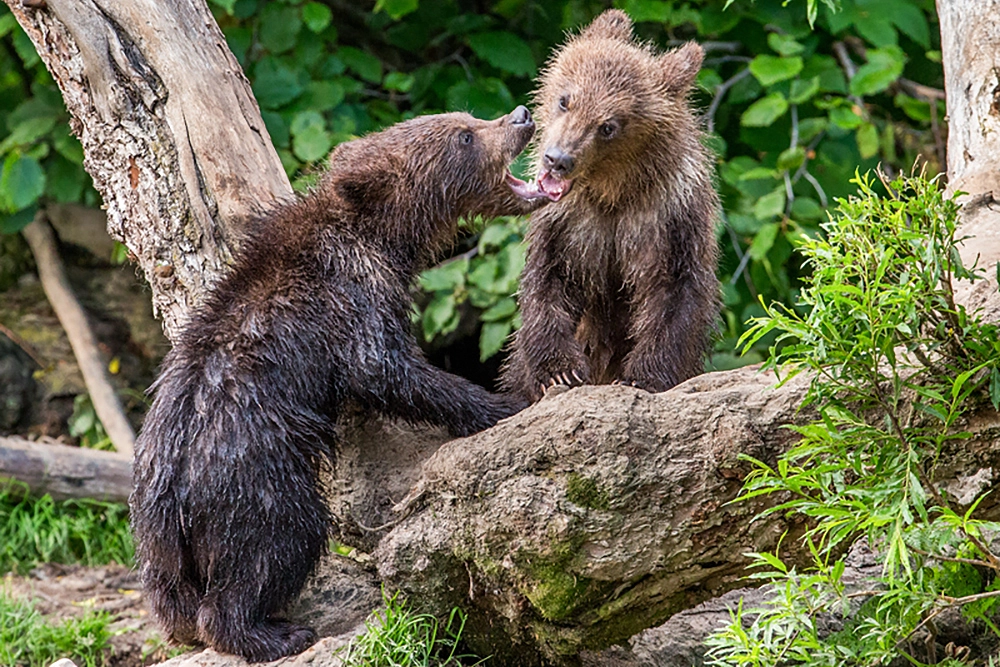Важные навыки.