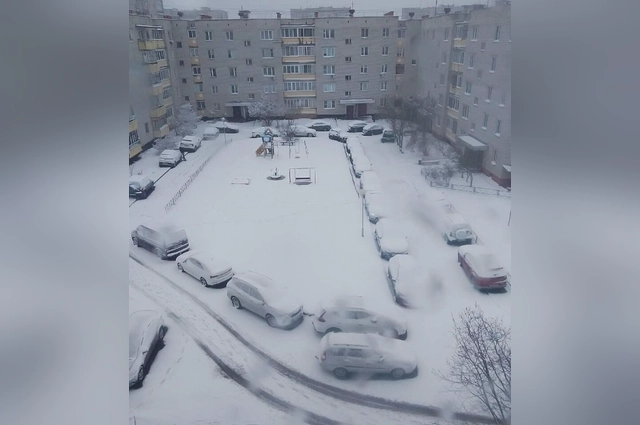 Снегопад идет в большей части Поволжья.