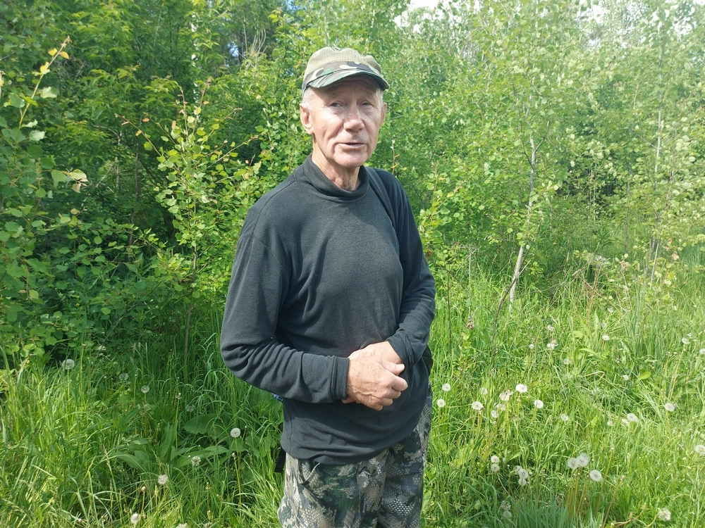 Андроновский лес