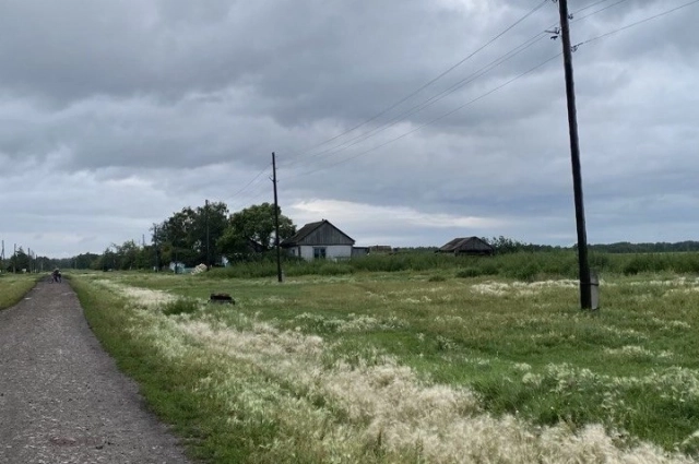 Жители деревни боятся выходить из своих участков.