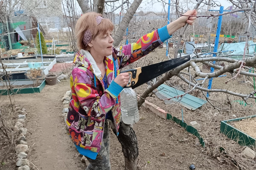 Обрезка деревьев на даче весной