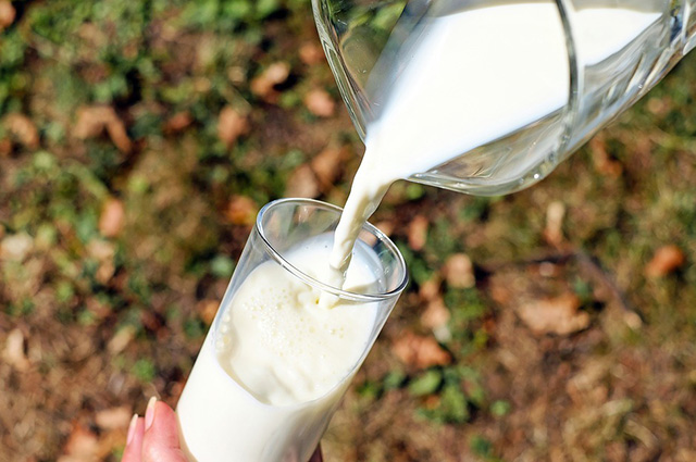 Заболеть энцефалитом можно, если попить сырое молоко.