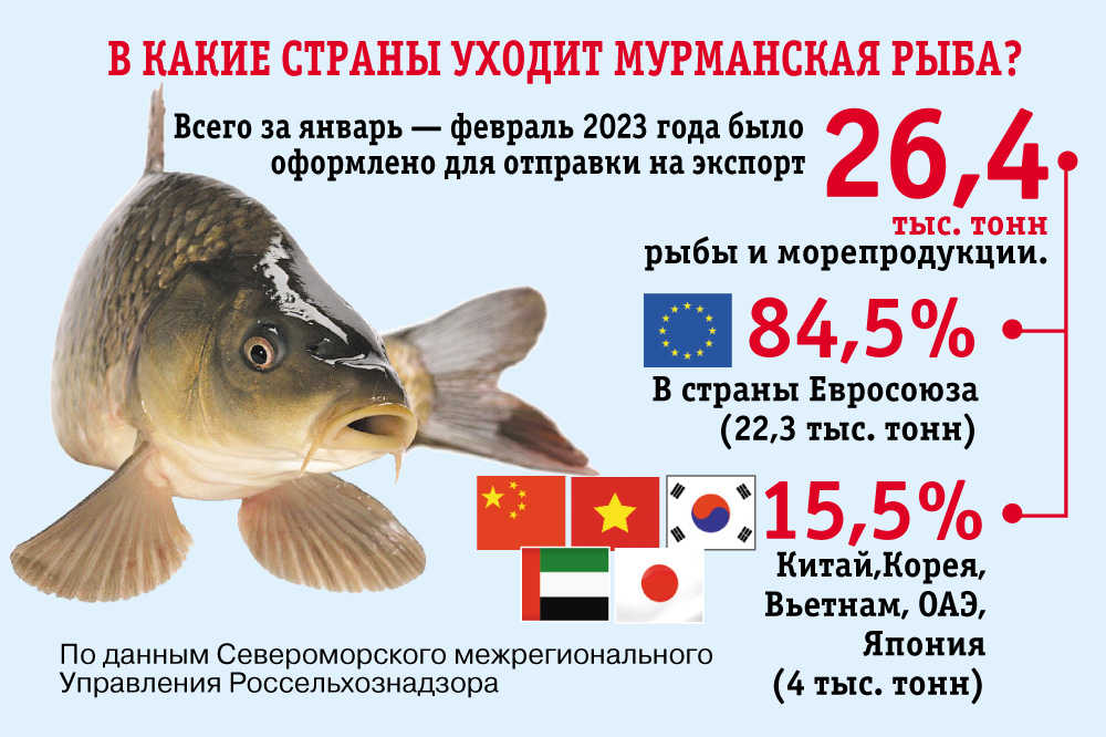 Инфографика. Экспорт рыбы