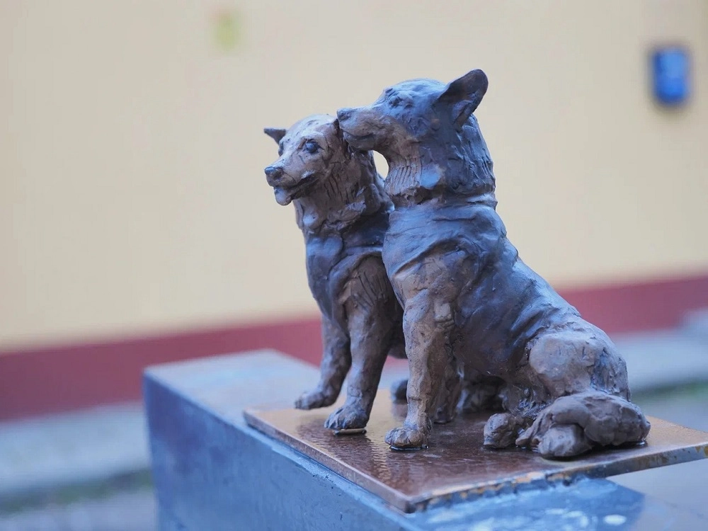 Памятник Белке и Стрелке в Калуге.