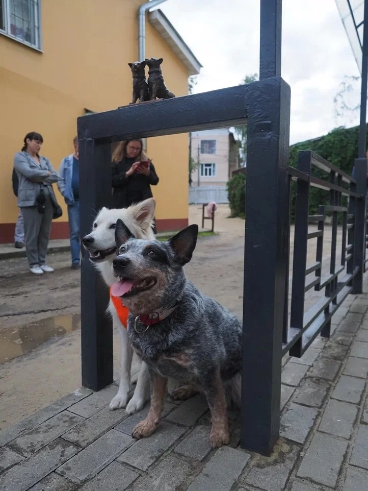 Возле калужского памятника собакам жители города стали фотографировать своих питомцев.