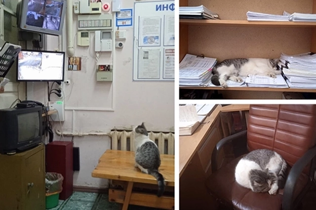 Ефросинья контролирует все. Помогает охране,