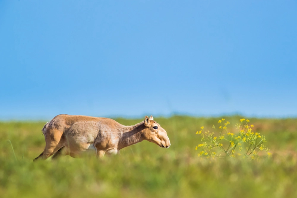 Все в роддом!