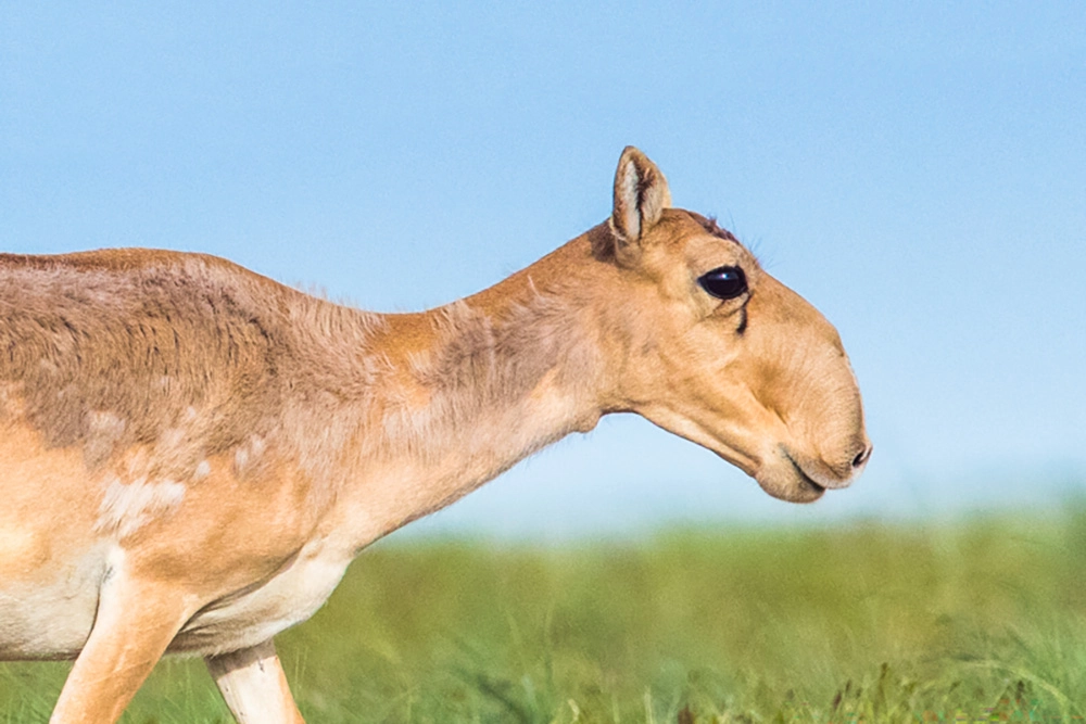 Зеркало души.