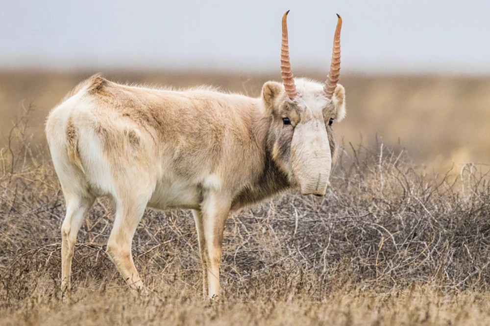 Одежда по сезону.