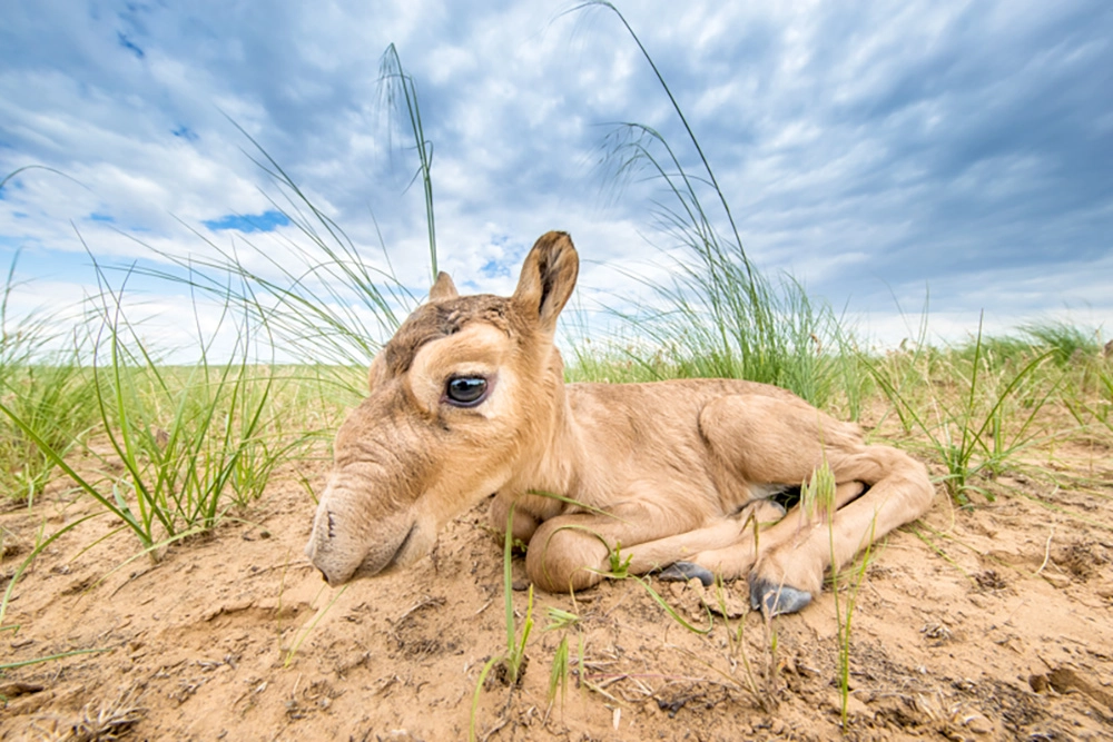 С рождением, малыш!