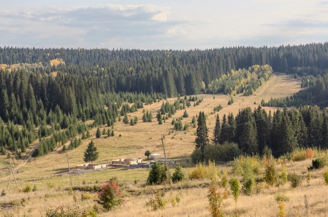 Купил гору за 35 рублей. Как возник «железнодорожный» посёлок Шаля