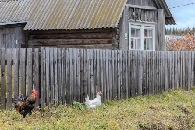 Посуда пасью – бес нагадит. В селе Роща знакомят с бытованием старообрядцев