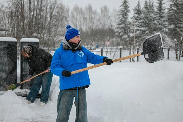 Участники студенческого отрядя «Лайка». 